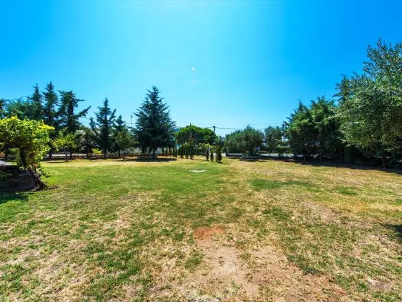 Land 2500 M² In Kassandra, Chalkidiki