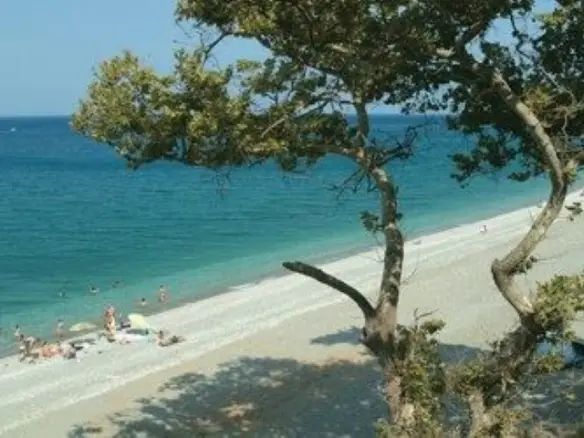 Business 1000 M² In North Greece