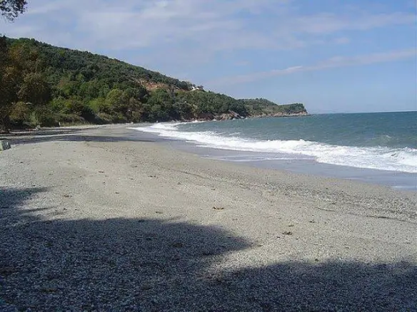Business 1000 M² In North Greece