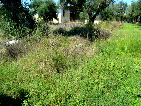 Land 2000 M² In Zante
