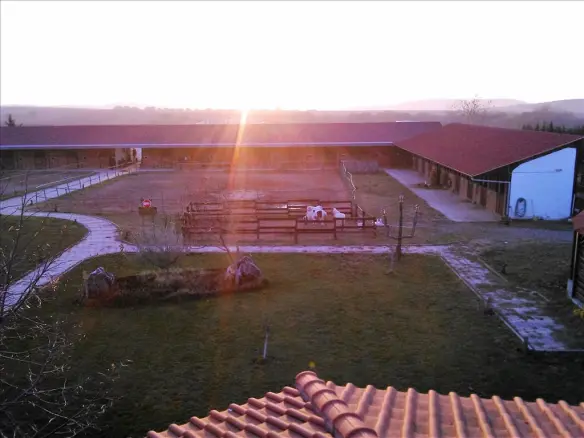 Business 1600 M² In The Suburbs Of Thessaloniki