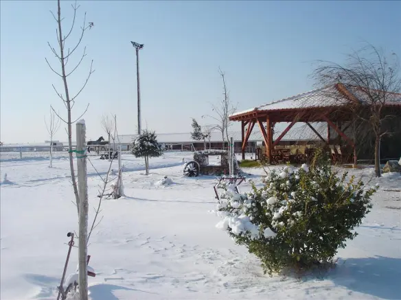 Business 1600 M² In The Suburbs Of Thessaloniki