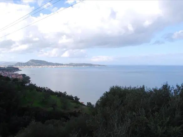 Land 13000 M² In Zante