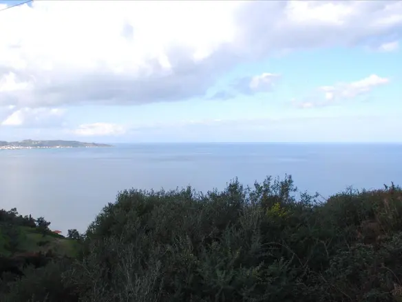 Land 13000 M² In Zante