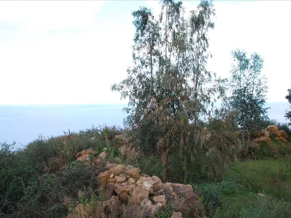 Land 13000 M² In Zante