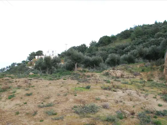 Land 13000 M² In Zante