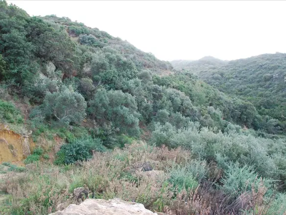 Land 13000 M² In Zante