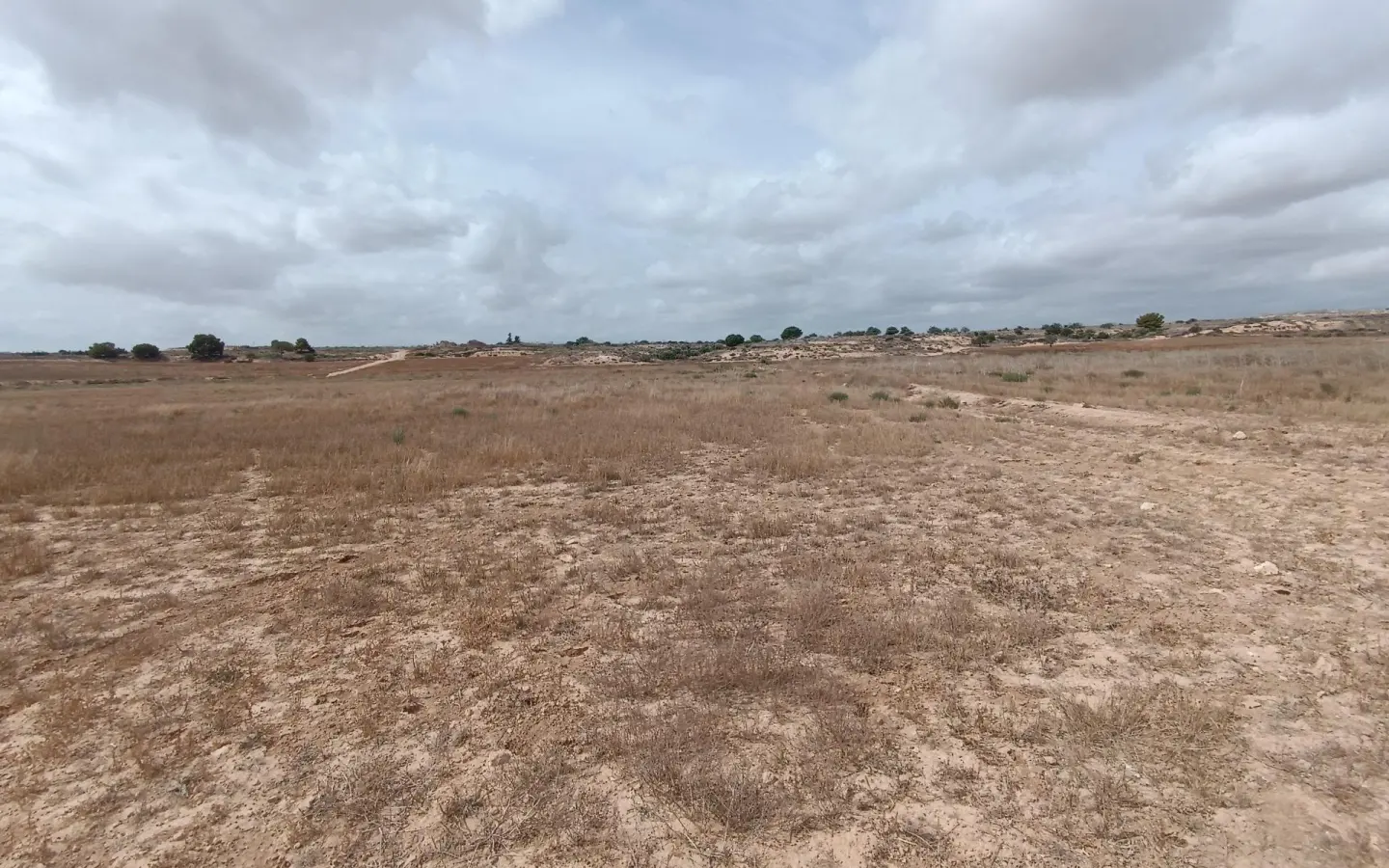 Land In Sucina, Spain (130.000 M² Plot)