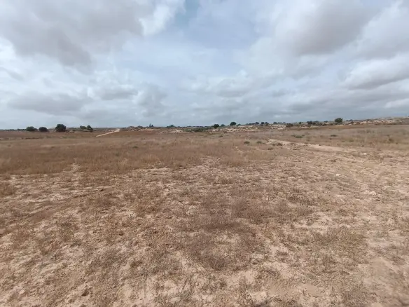 Land In Sucina, Spain (130.000 M² Plot)