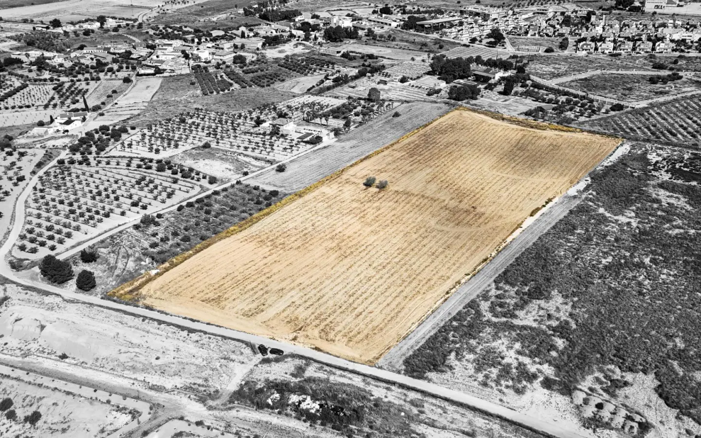 Land In Murcia, Spain (30.000 M² Plot)