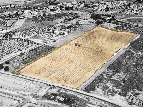 Land In Murcia, Spain (30.000 M² Plot)