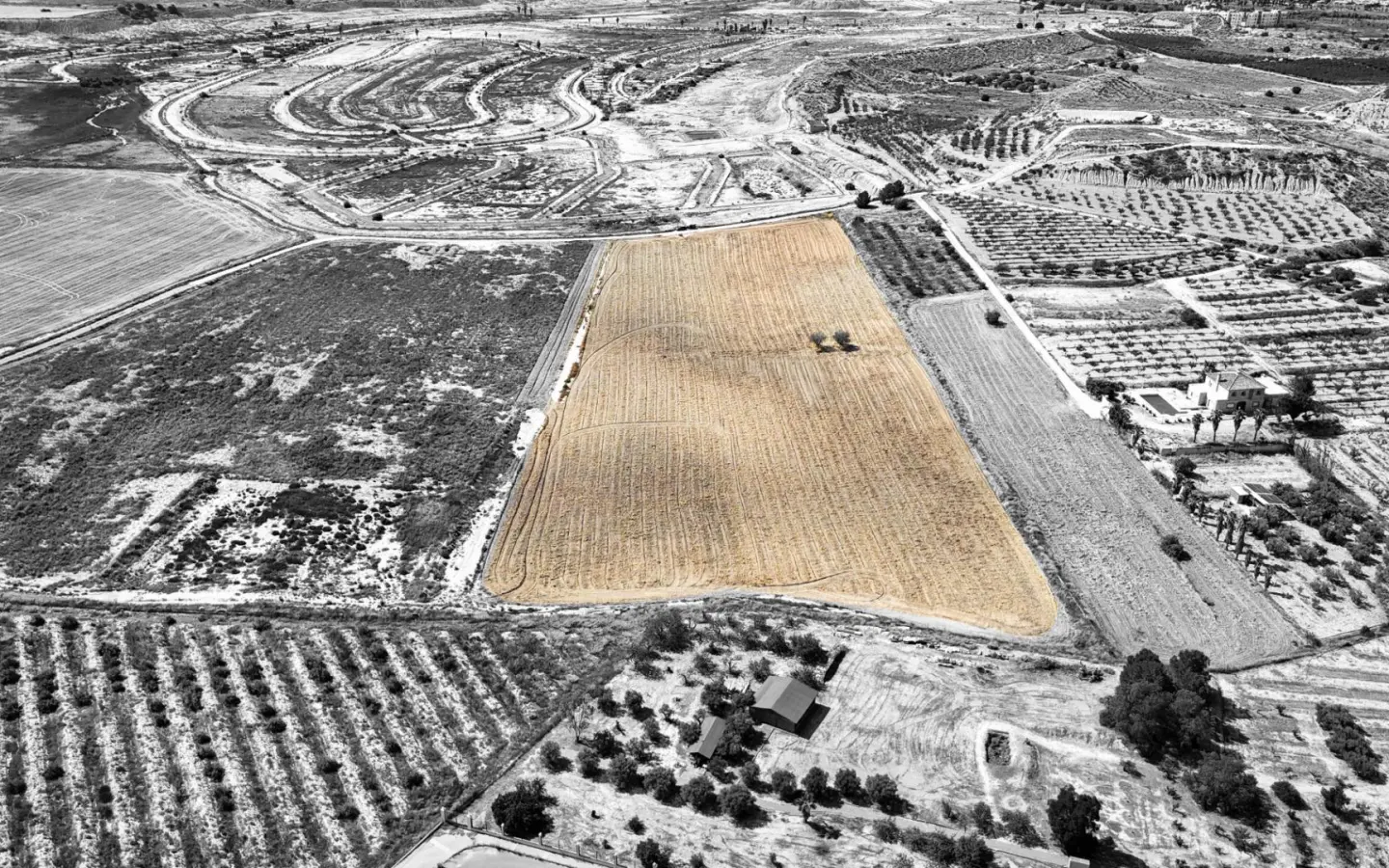 Land In Murcia, Spain (30.000 M² Plot)