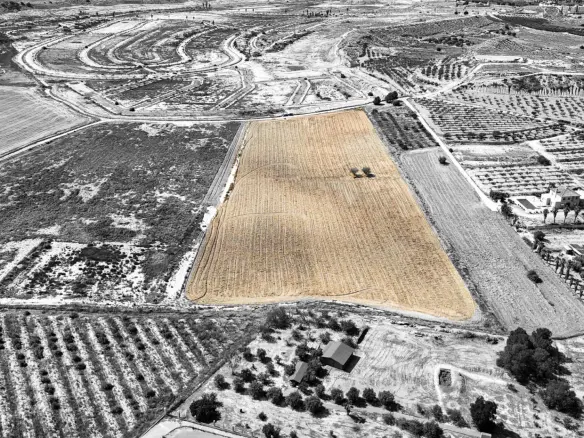 Land In Murcia, Spain (30.000 M² Plot)