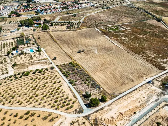 Land In Murcia, Spain (30.000 M² Plot)