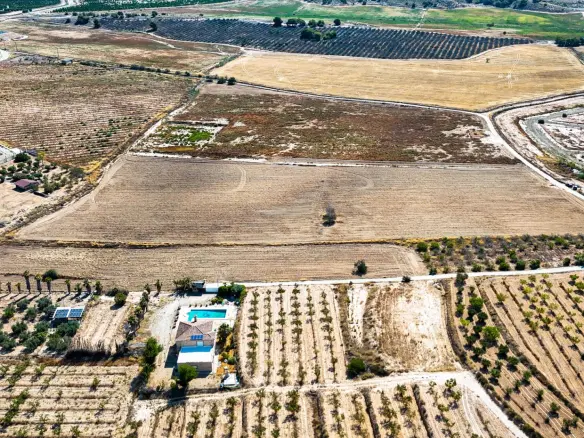 Land In Murcia, Spain (30.000 M² Plot)