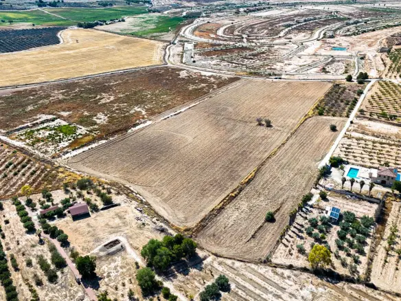 Land In Murcia, Spain (30.000 M² Plot)