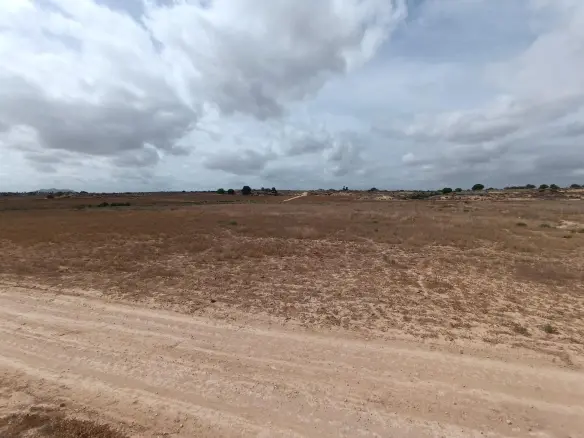 Land In Sucina, Spain (130.000 M² Plot)