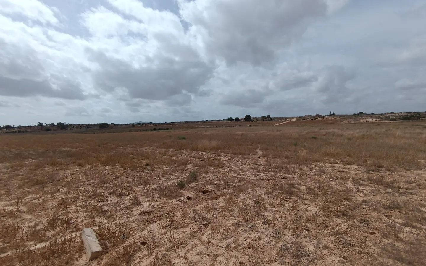 Land In Sucina, Spain (130.000 M² Plot)