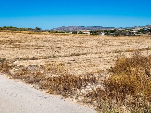 Land In Murcia, Spain (30.000 M² Plot)