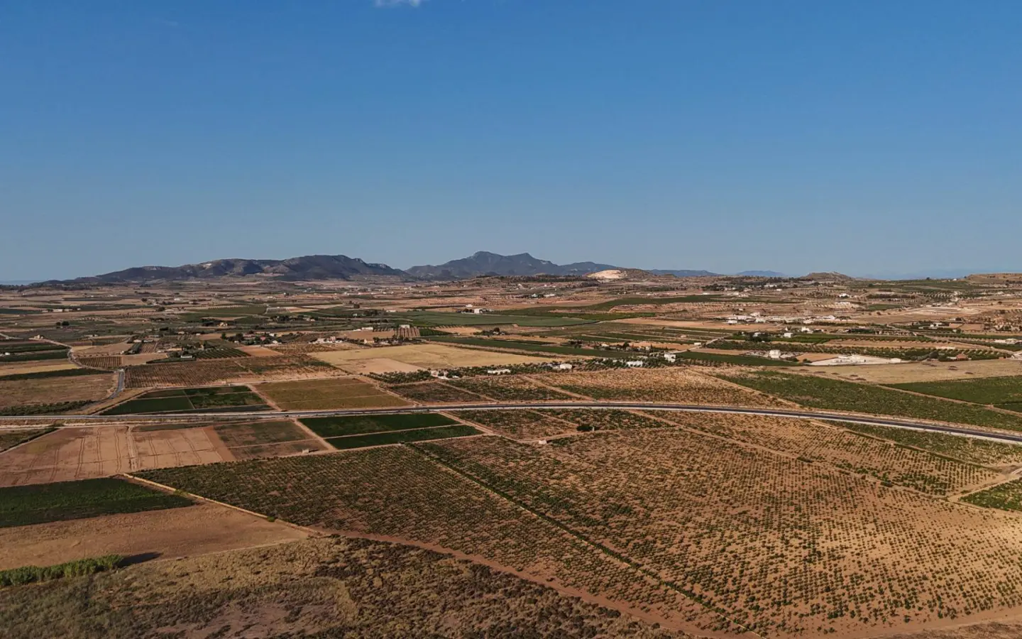 Urban Plot In Pinoso, Spain (2.500 M²)
