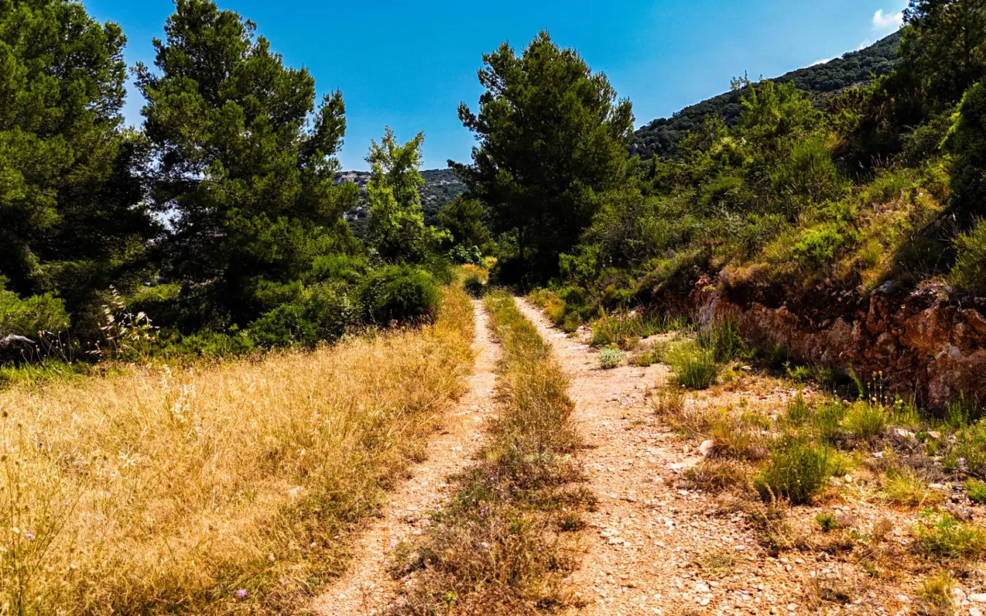 Land In Sierra Engarceran, Spain (54.391 M² Plot)