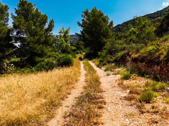 Land In Sierra Engarceran, Spain (54.391 M² Plot)