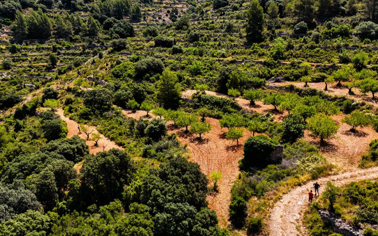 Land In Sierra Engarceran, Spain (54.391 M² Plot)