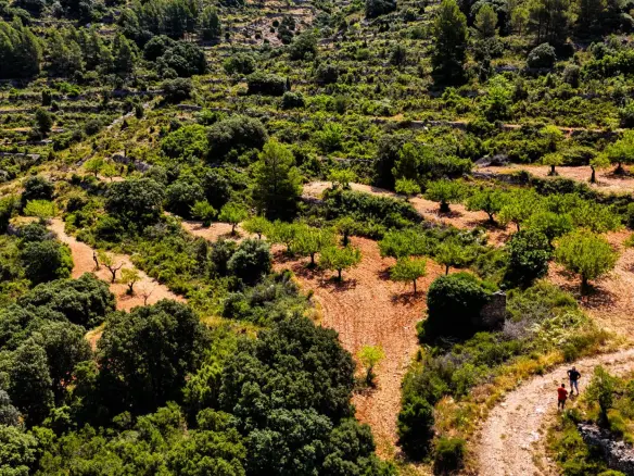 Land In Sierra Engarceran, Spain (54.391 M² Plot)
