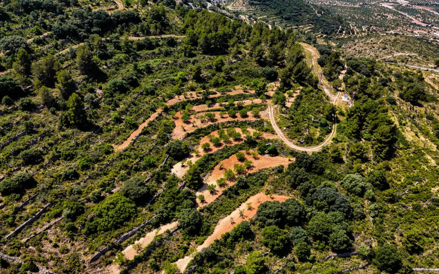 Land In Sierra Engarceran, Spain (54.391 M² Plot)