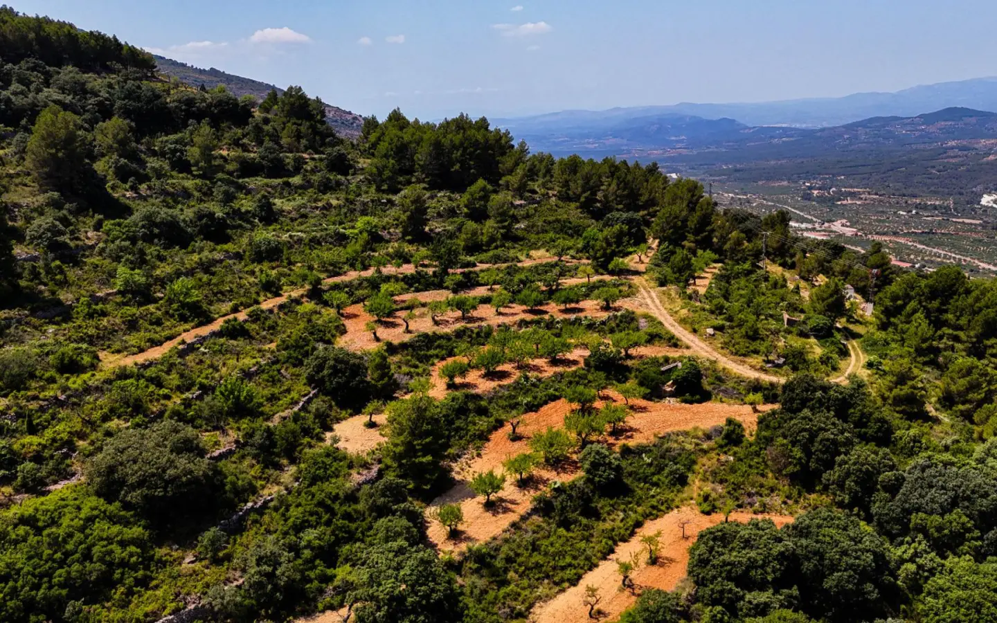 Land In Sierra Engarceran, Spain (54.391 M² Plot)