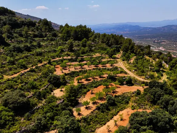 Land In Sierra Engarceran, Spain (54.391 M² Plot)