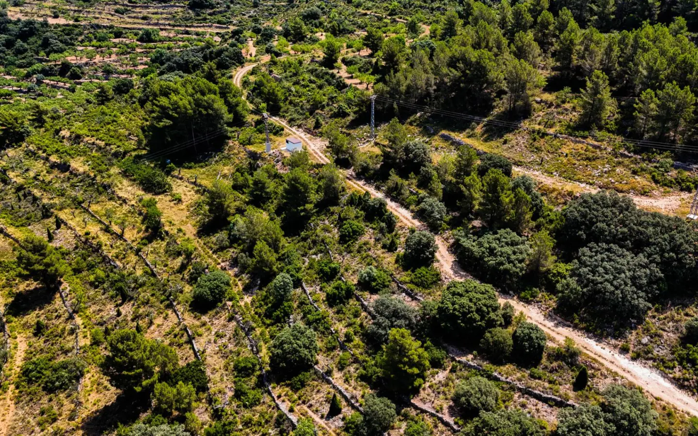 Land In Sierra Engarceran, Spain (54.391 M² Plot)