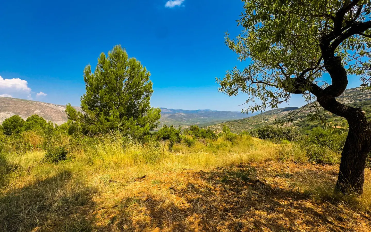 Land In Sierra Engarceran, Spain (54.391 M² Plot)
