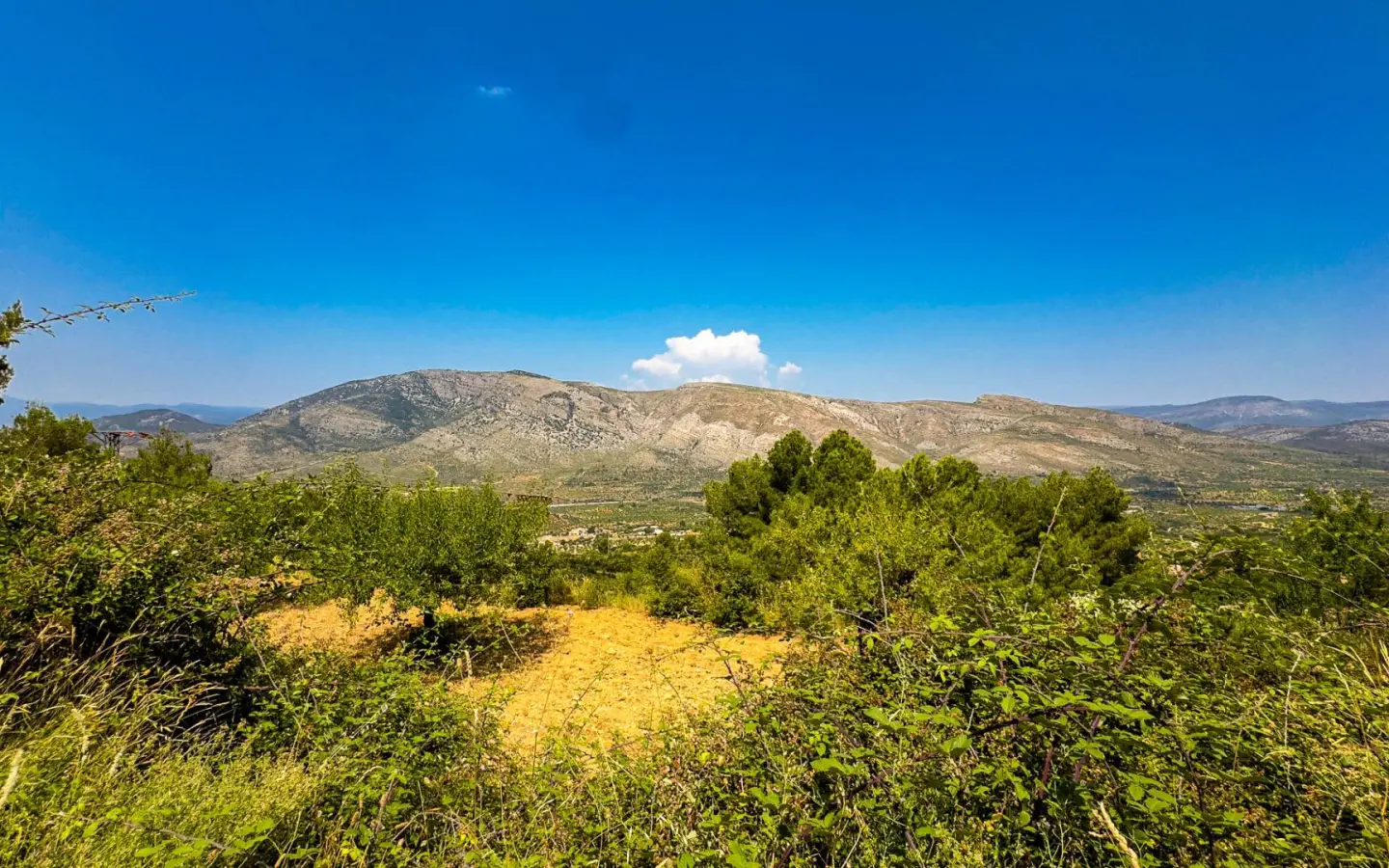 Land In Sierra Engarceran, Spain (54.391 M² Plot)
