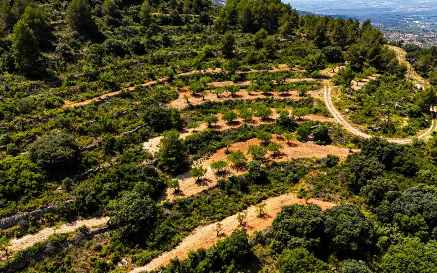 Land In Sierra Engarceran, Spain (54.391 M² Plot)