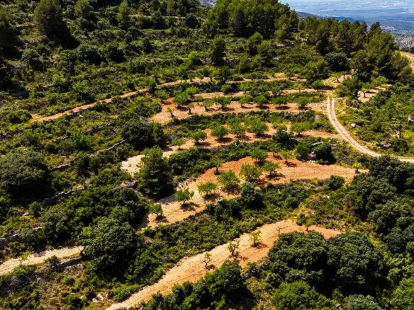 Land In Sierra Engarceran, Spain (54.391 M² Plot)