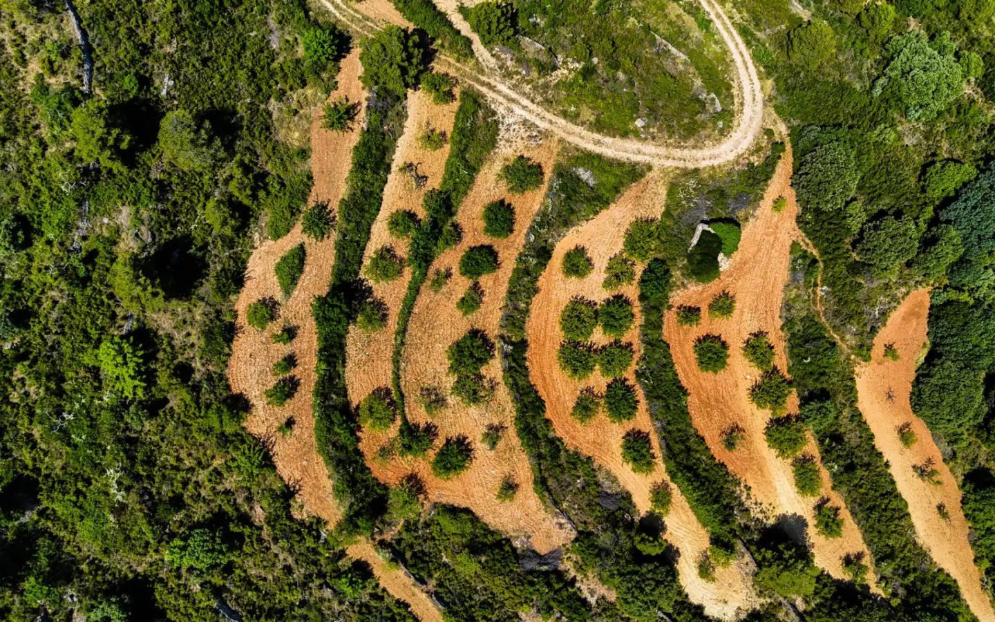Land In Sierra Engarceran, Spain (54.391 M² Plot)