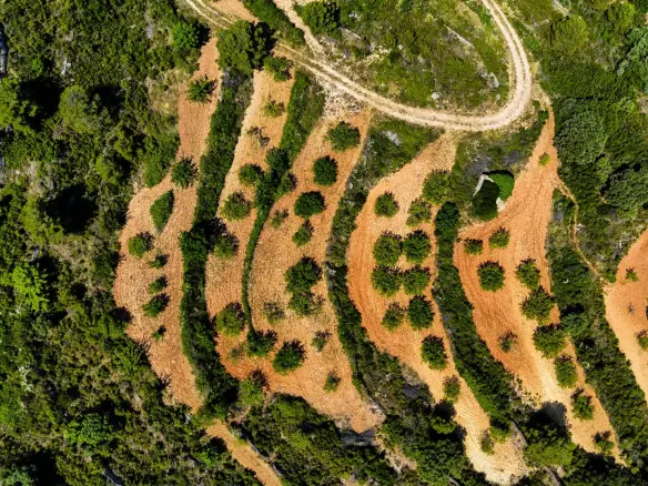 Land In Sierra Engarceran, Spain (54.391 M² Plot)