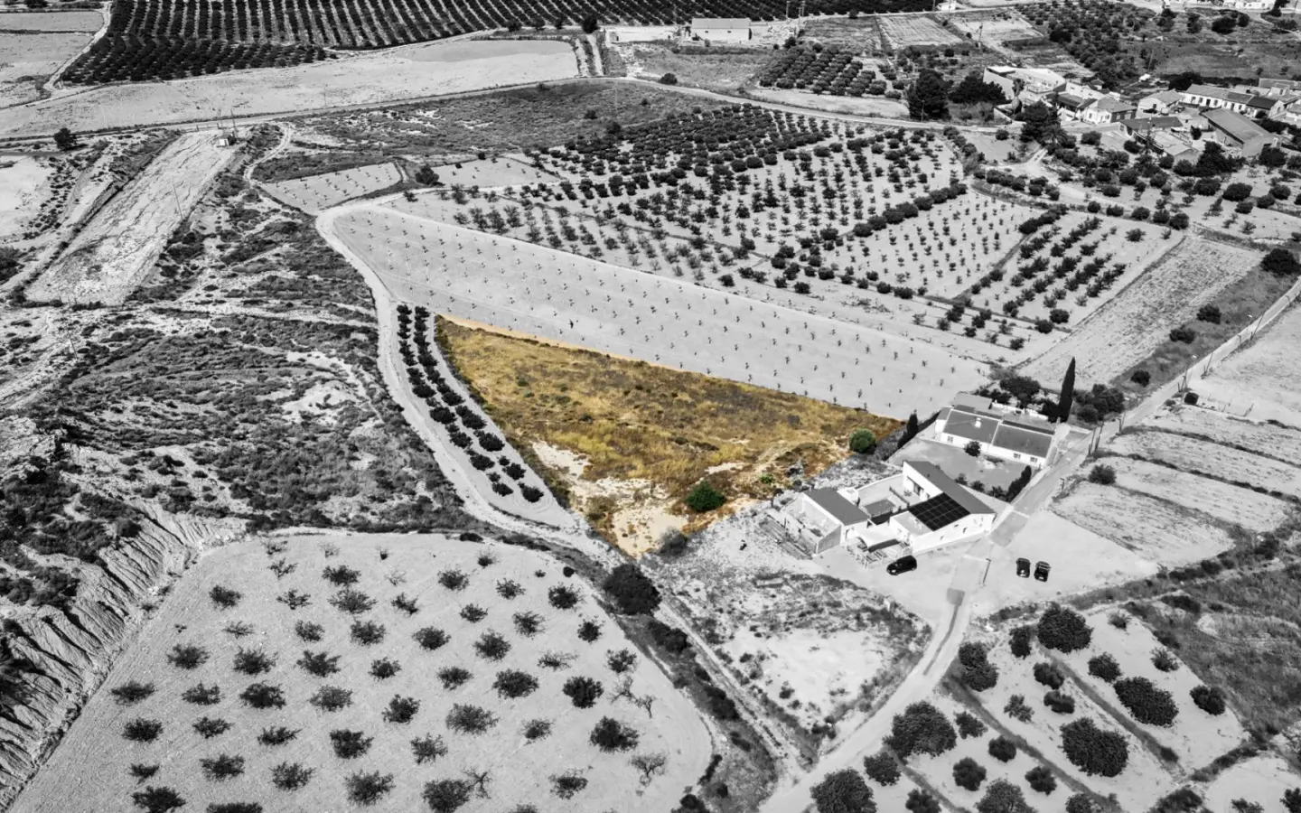 Land In La Tercia, Spain (3.000 M² Plot)