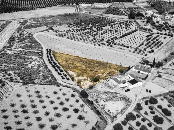 Land In La Tercia, Spain (3.000 M² Plot)