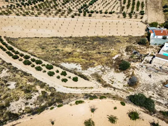 Land In La Tercia, Spain (3.000 M² Plot)