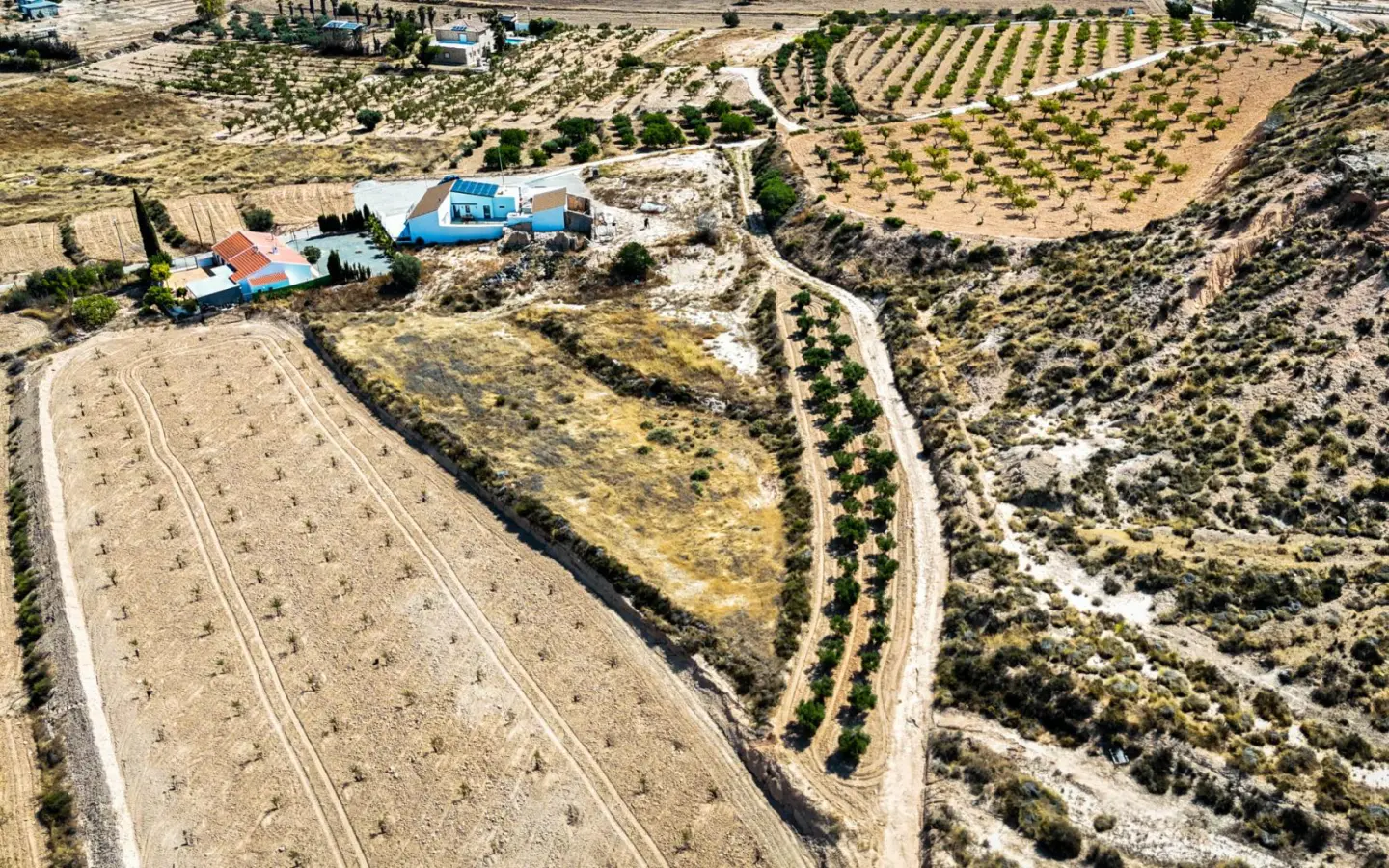 Land In La Tercia, Spain (3.000 M² Plot)
