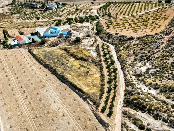 Land In La Tercia, Spain (3.000 M² Plot)