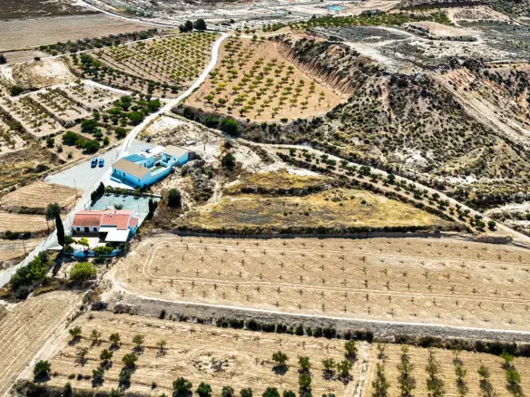 Land In La Tercia, Spain (3.000 M² Plot)