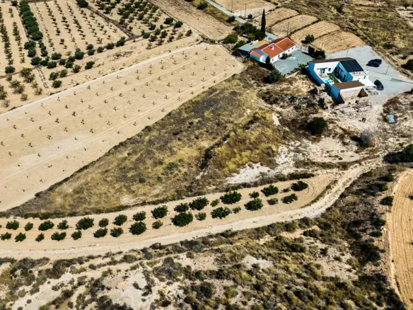 Land In La Tercia, Spain (3.000 M² Plot)