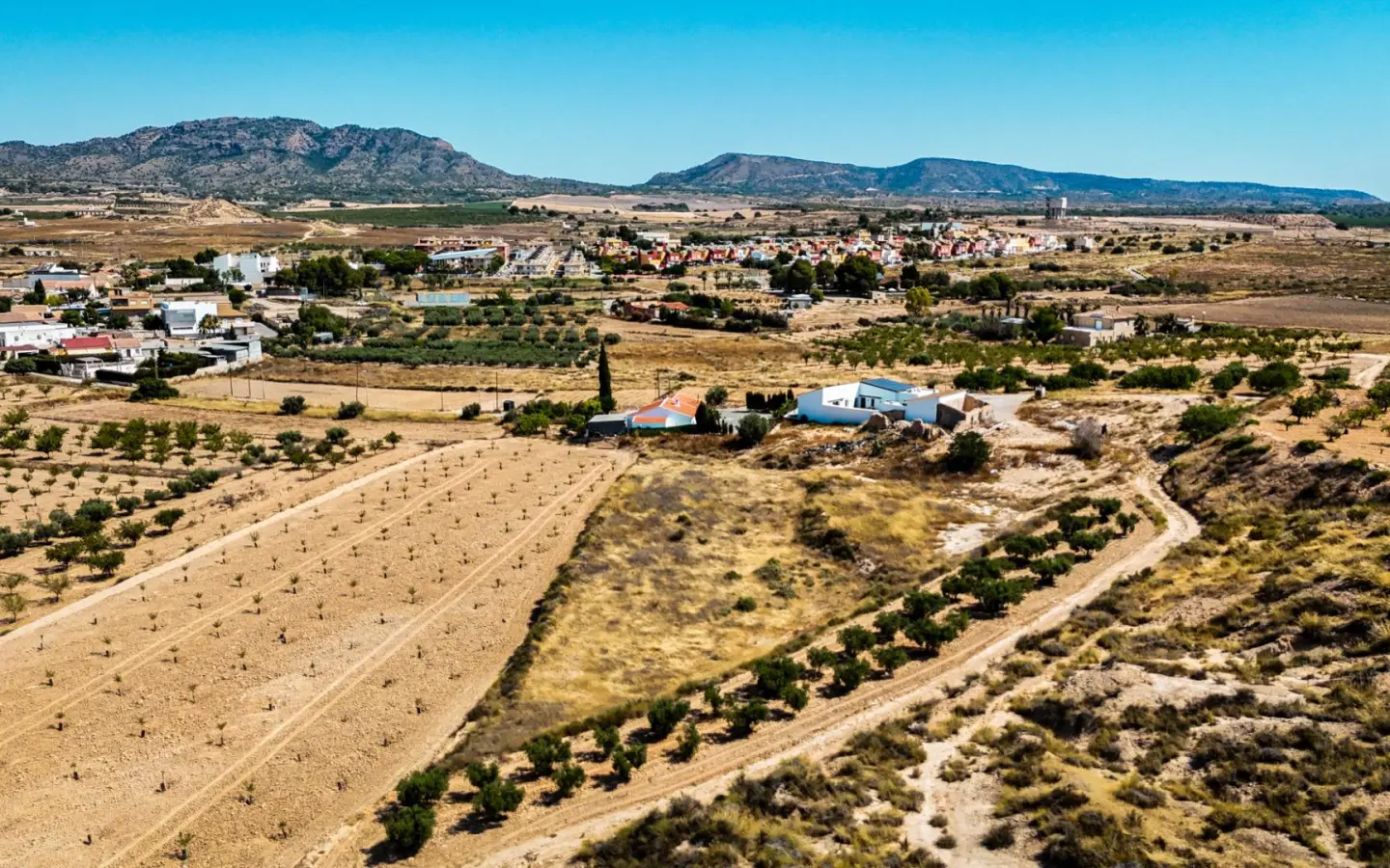 Land In La Tercia, Spain (3.000 M² Plot)