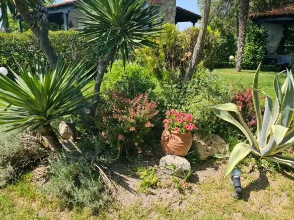 3-bedroom Detached House In Kassandra, Greece (105 M²)
