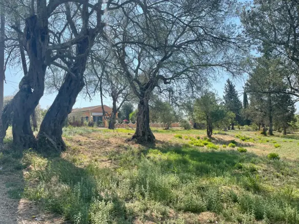 Land In Corfu, Greece