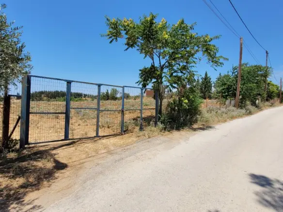 Land In Panorama, Greece