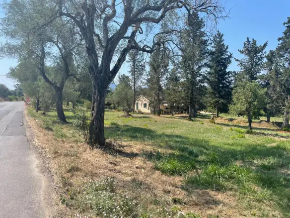 Land In Corfu, Greece